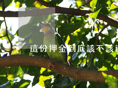 這份押金到底該不該退？